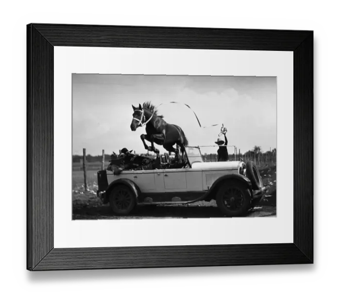Framed Print : Horse jumping over car