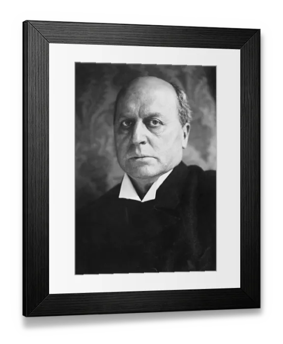 Framed Print : Portrait Of Author Henry James Framed Print : Portrait Of Author Henry James