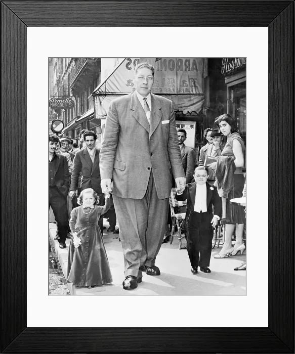 Framed Print : Belgium Giant, Midgent Couple Stroll Framed Print : Belgium Giant, Midgent Couple Stroll