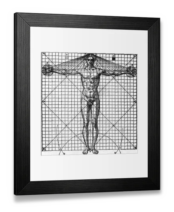 Framed Print : Diagram Of Man'S Proportions; On Graph