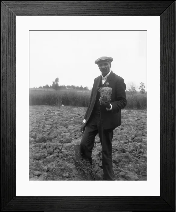Framed Print : Botanist George Washington Carver Framed Print : Botanist George Washington Carver