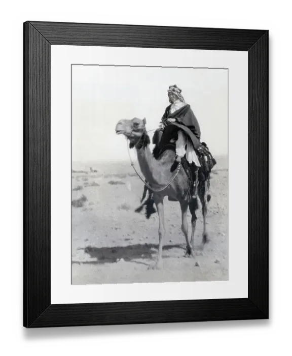 Framed Print : T.E. Lawrence Riding a Camel Framed Print : T.E. Lawrence Riding a Camel