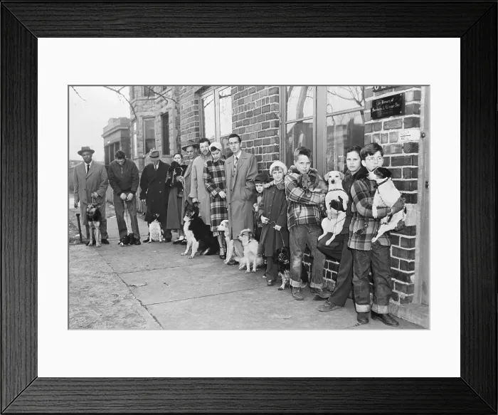 Framed Print : People Line Up To Get Dogs Rabies Shots Framed Print : People Line Up To Get Dogs Rabies Shots