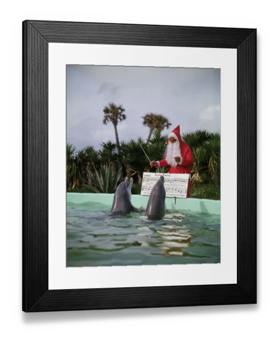 Framed Print : Dolphins Singing For Santa Claus Framed Print : Dolphins Singing For Santa Claus