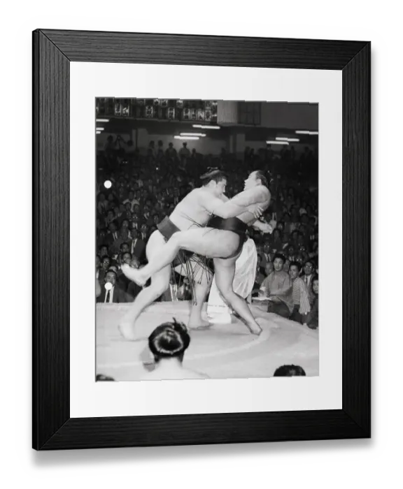 Framed Print : Sumo Wrestling Framed Print : Sumo Wrestling