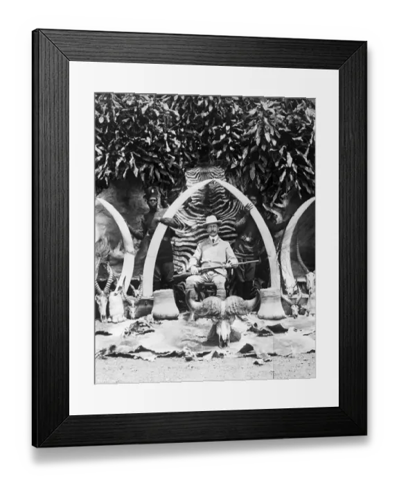 Framed Print : Hunter Sitting in Front of Trophies Framed Print : Hunter Sitting in Front of Trophies