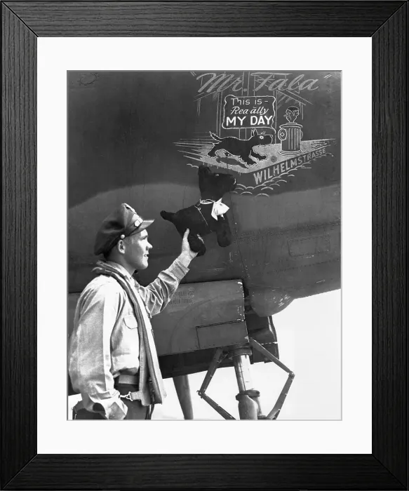 Framed Print : Nose Art on Mr. Fala Framed Print : Nose Art on Mr. Fala