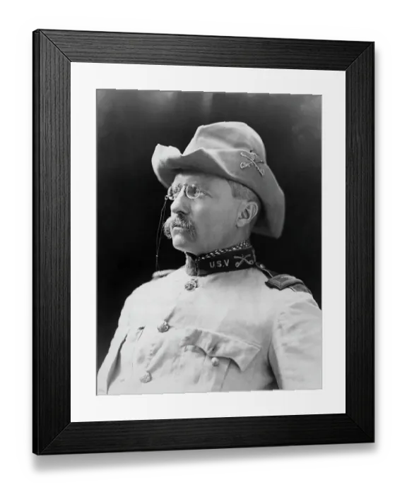 Framed Print : Theodore Roosevelt Framed Print : Theodore Roosevelt