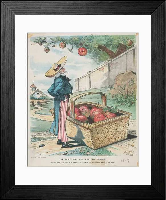 Framed Print : Uncle Sam Observing Cherry Tree Framed Print : Uncle Sam Observing Cherry Tree
