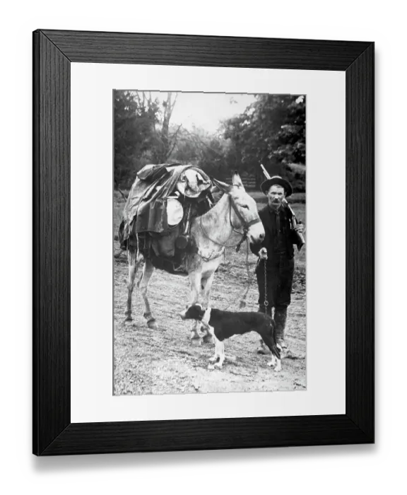 Framed Print : Gold Prospector with Pack Mule and Dog Framed Print : Gold Prospector with Pack Mule and Dog