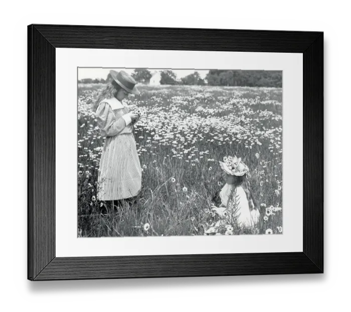 Framed Print : Two Girls in Field of Daisies Framed Print : Two Girls in Field of Daisies