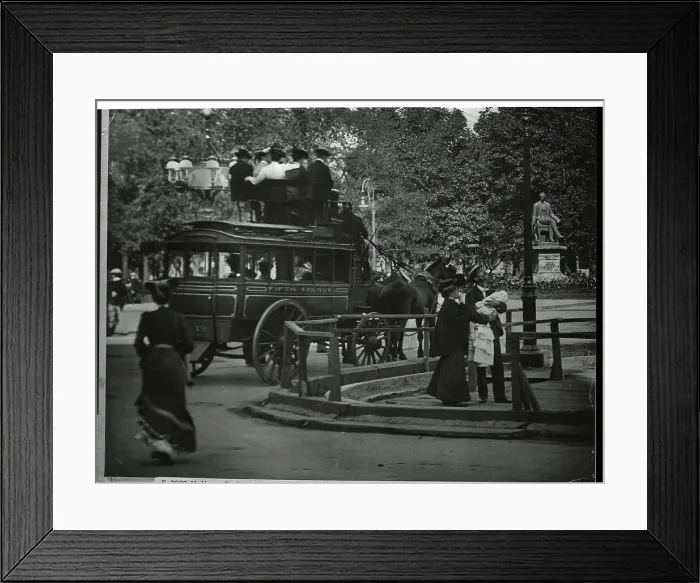 Framed Print : Horsedrawn Coach in Madison Park Framed Print : Horsedrawn Coach in Madison Park