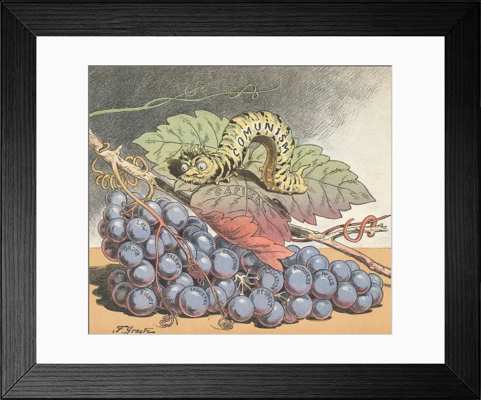 Framed Print : Cartoon Propaganda on Communism Effects on Capitalism Framed Print : Cartoon Propaganda on Communism Effects on Capitalism