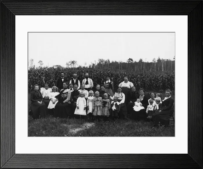 Framed Print : Large Family Group In Corn Field Framed Print : Large Family Group In Corn Field
