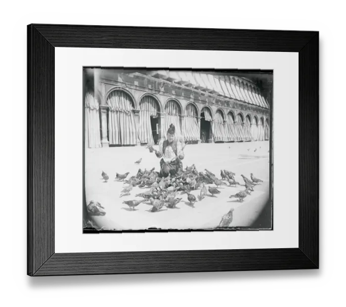 Framed Print : Woman Feeding Pigeons