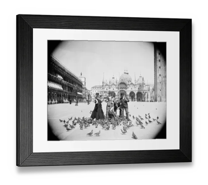Framed Print : People Feeding Pigeons Framed Print : People Feeding Pigeons