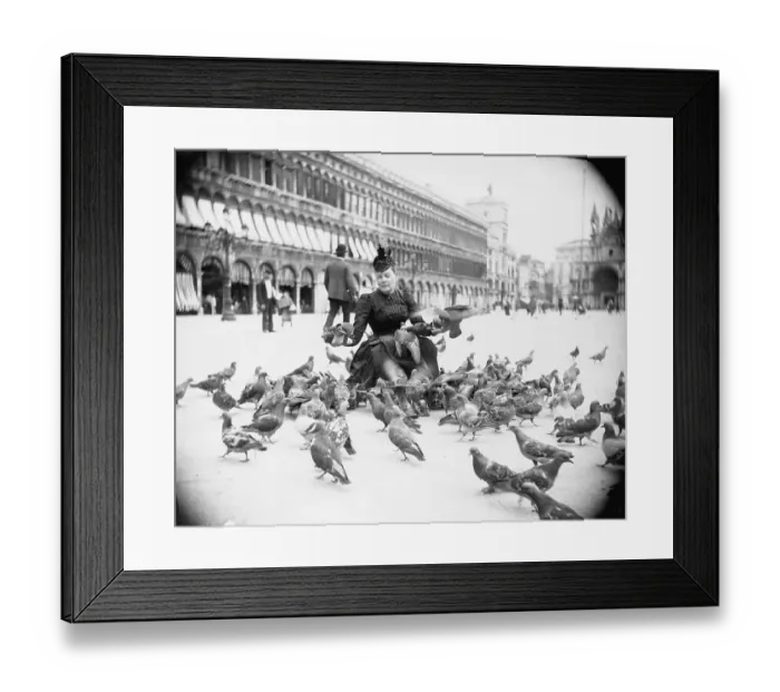 Framed Print : Woman Feeding Pigeons Framed Print : Woman Feeding Pigeons