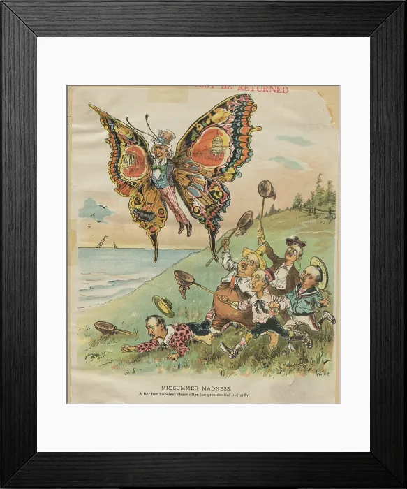 Framed Print : Cartoon of Politicians Trying to Catch Presidential Butterfly Framed Print : Cartoon of Politicians Trying to Catch Presidential Butterfly
