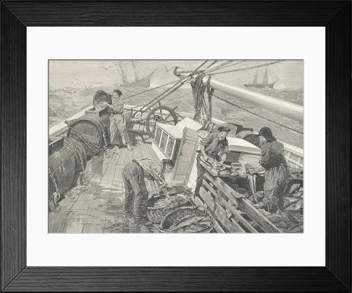 Framed Print : Fisherman Preparing Fish Framed Print : Fisherman Preparing Fish