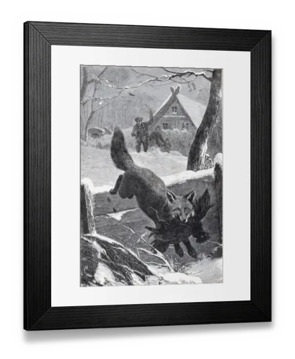 Framed Print : Engraving Of A Fox Stealing A Rooster Framed Print : Engraving Of A Fox Stealing A Rooster