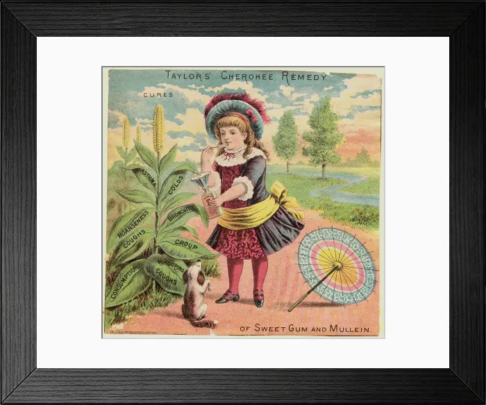 Framed Print : Young Woman Capturing Corn Oil in Field for Medicine Framed Print : Young Woman Capturing Corn Oil in Field for Medicine