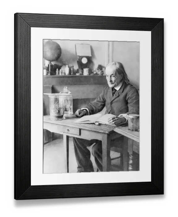 Framed Print : Entomologist Jean Henri Fabre In His Study Framed Print : Entomologist Jean Henri Fabre In His Study