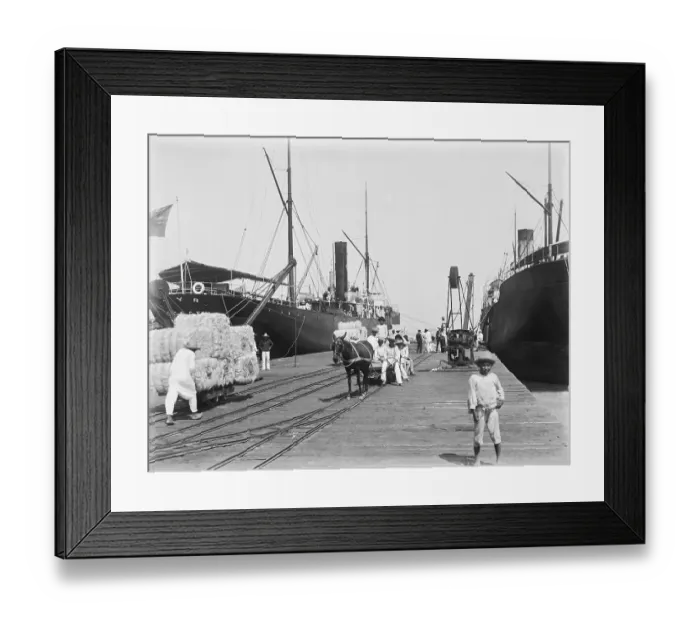 Framed Print : Loading Hemp in Mexico Framed Print : Loading Hemp in Mexico