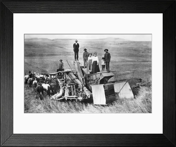 Framed Print : Farming Family Standing on Horse Drawn Harvesting Vehicle Framed Print : Farming Family Standing on Horse Drawn Harvesting Vehicle