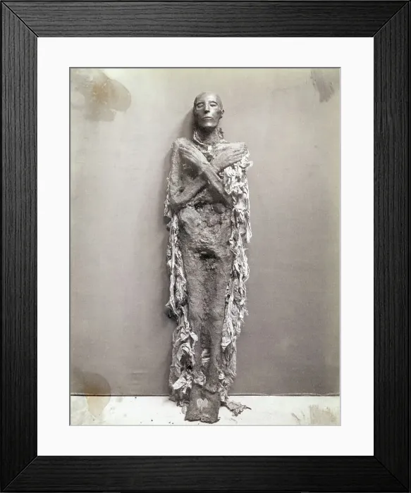 Framed Print : Egyptian Mummy Framed Print : Egyptian Mummy