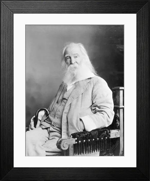 Framed Print : Walt Whitman Seated; White Beard; Photo Framed Print : Walt Whitman Seated; White Beard; Photo