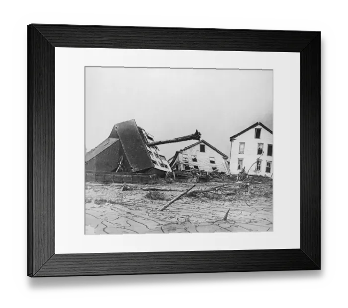 Framed Print : Wrecked Homes Tree Trunk Thru House Framed Print : Wrecked Homes Tree Trunk Thru House