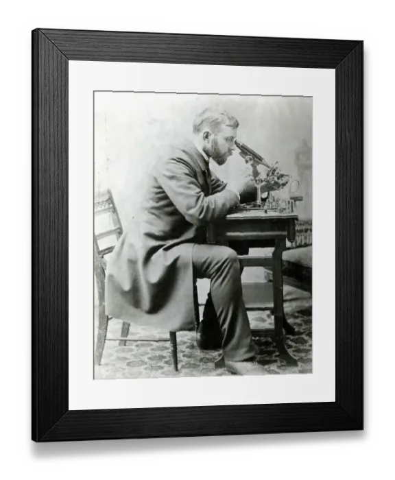 Framed Print : Medical Student at Microscope Framed Print : Medical Student at Microscope