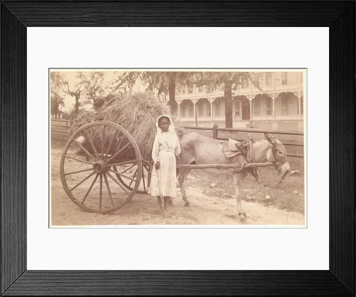 Framed Print : African American Girl with Donkey Framed Print : African American Girl with Donkey