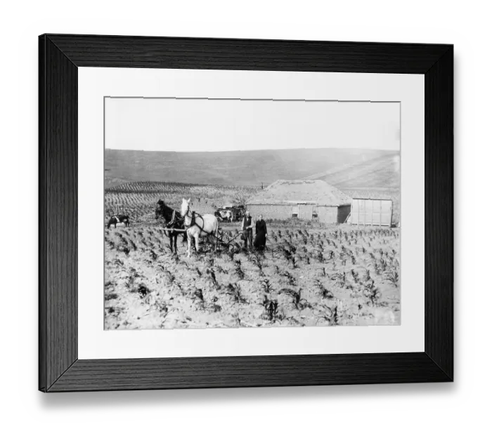 Framed Print : Man and Woman Farming Framed Print : Man and Woman Farming