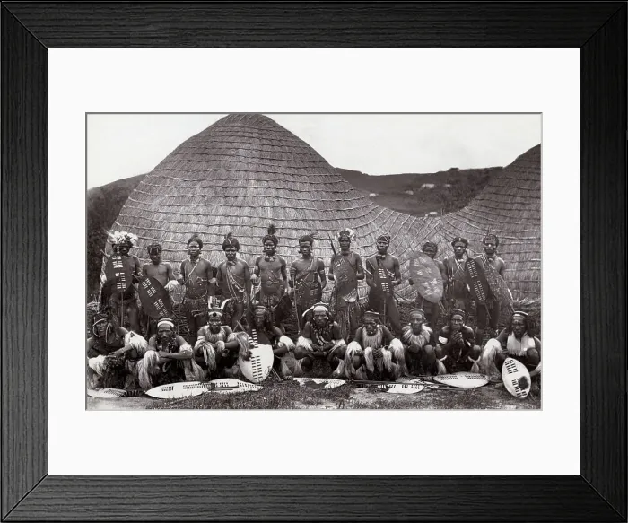 Framed Print : Zulus Warriors In War Dress