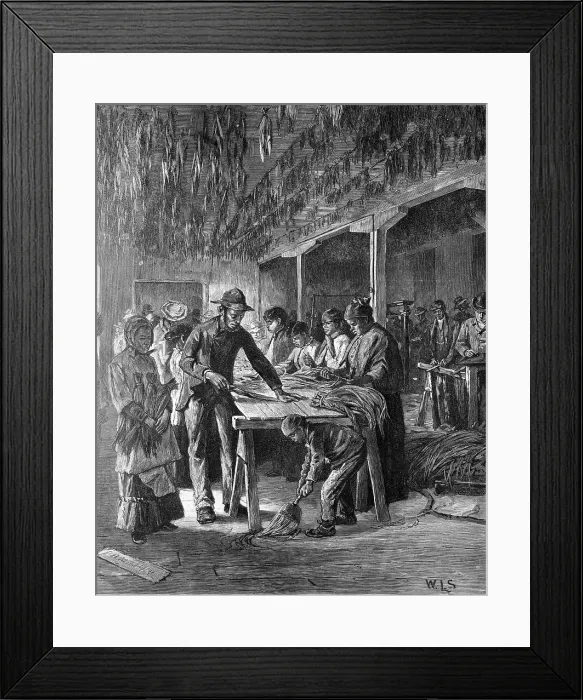 Framed Print : Stripping Tobacco; Workers In Shop Framed Print : Stripping Tobacco; Workers In Shop