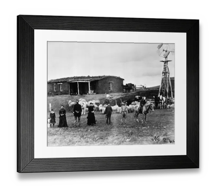 Framed Print : Sheep Farm in American West Framed Print : Sheep Farm in American West
