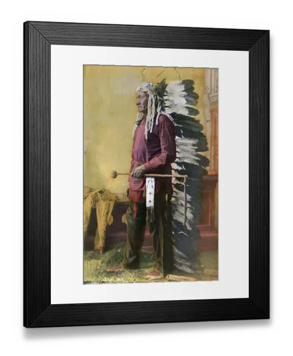 Framed Print : Portrait of Chief Sitting Bull Framed Print : Portrait of Chief Sitting Bull