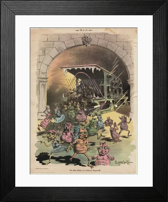 Framed Print : Cartoon on Journalism