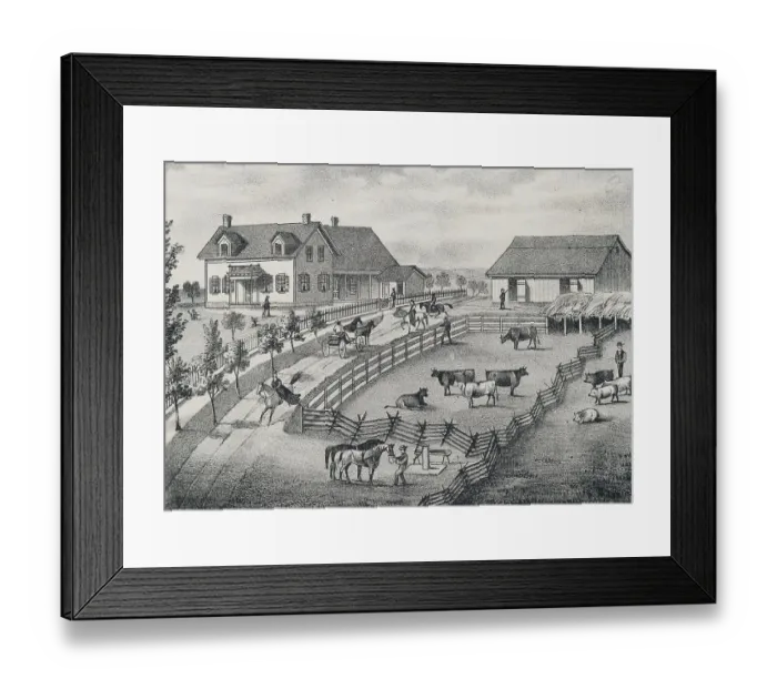 Framed Print : Farm Scene with Farm Animals Framed Print : Farm Scene with Farm Animals