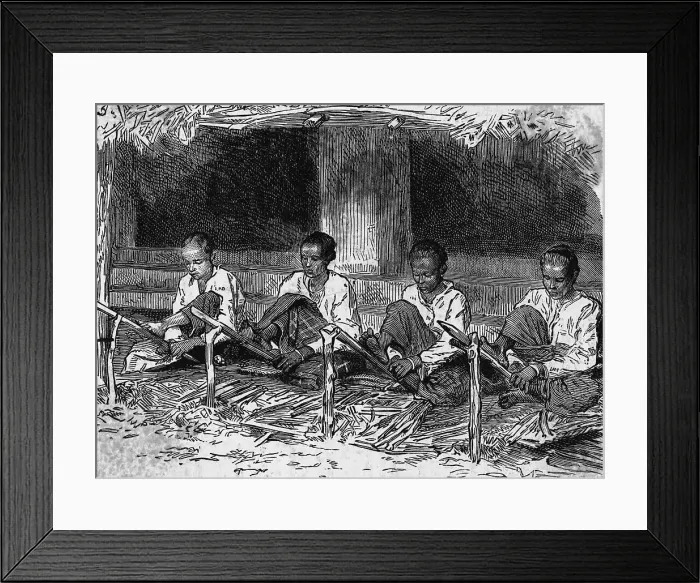 Framed Print : Young Ceylonese Natives Preparing Bark for Trade