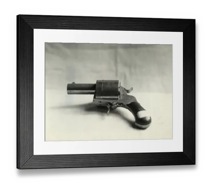 Framed Print : Janssen's Photographic Revolver