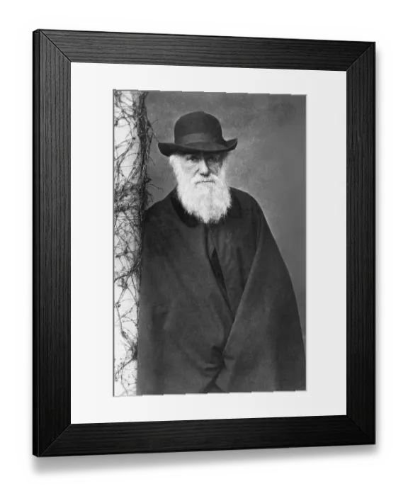 Framed Print : Charles Darwin Framed Print : Charles Darwin