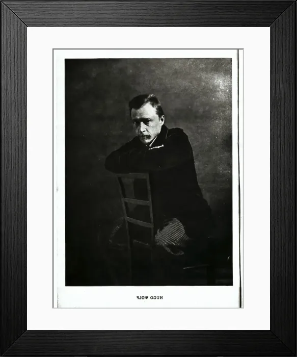 Framed Print : Hugo Wolf Sitting in a Chair Framed Print : Hugo Wolf Sitting in a Chair
