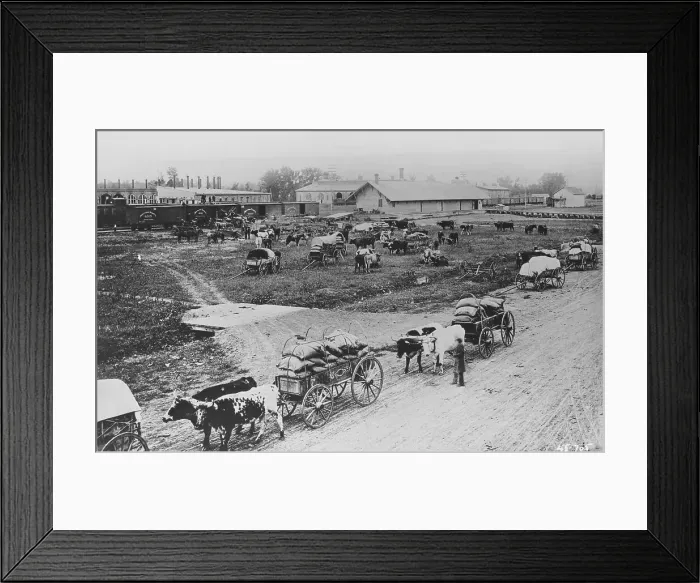 Framed Print : Homesteaders Getting Supplies Framed Print : Homesteaders Getting Supplies