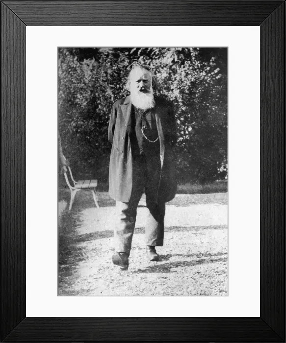 Framed Print : Johannes Brahms Going for a Stroll Outside Framed Print : Johannes Brahms Going for a Stroll Outside