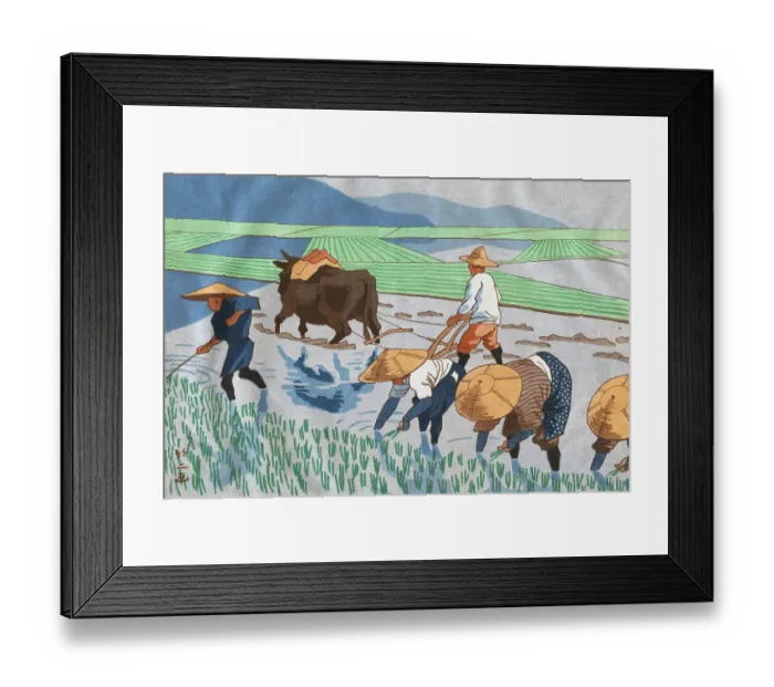 Framed Print : Asians Working in Rice Paddy Field Framed Print : Asians Working in Rice Paddy Field