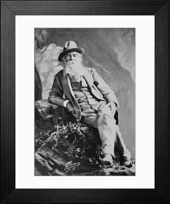 Framed Print : Portrait of Author Walt Whitman Framed Print : Portrait of Author Walt Whitman