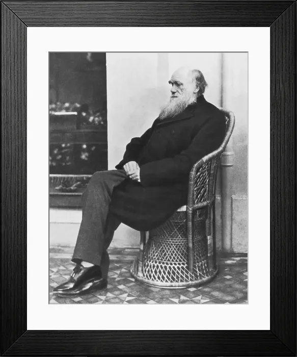 Framed Print : Naturalist Charles Darwin Seated Framed Print : Naturalist Charles Darwin Seated