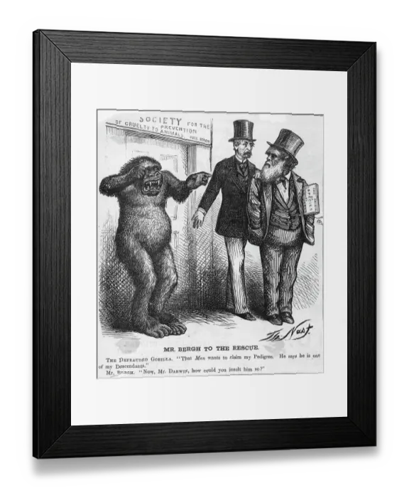 Framed Print : Mr. Bergh to the Rescue Cartoon by Thomas Nast Framed Print : Mr. Bergh to the Rescue Cartoon by Thomas Nast